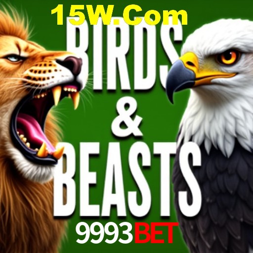 Apostas Esportivas na 9993Bet: Um Guia Completo